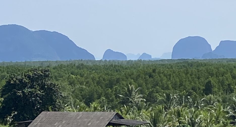 For sale land in Mueang Phangnga, Phang Nga