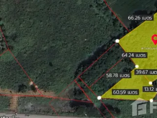 For sale land in Mueang Phitsanulok, Phitsanulok