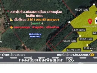 For sale land in Mueang Phitsanulok, Phitsanulok