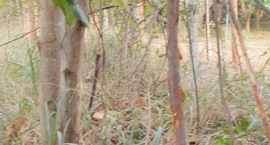 For sale land in Mueang Kalasin, Kalasin