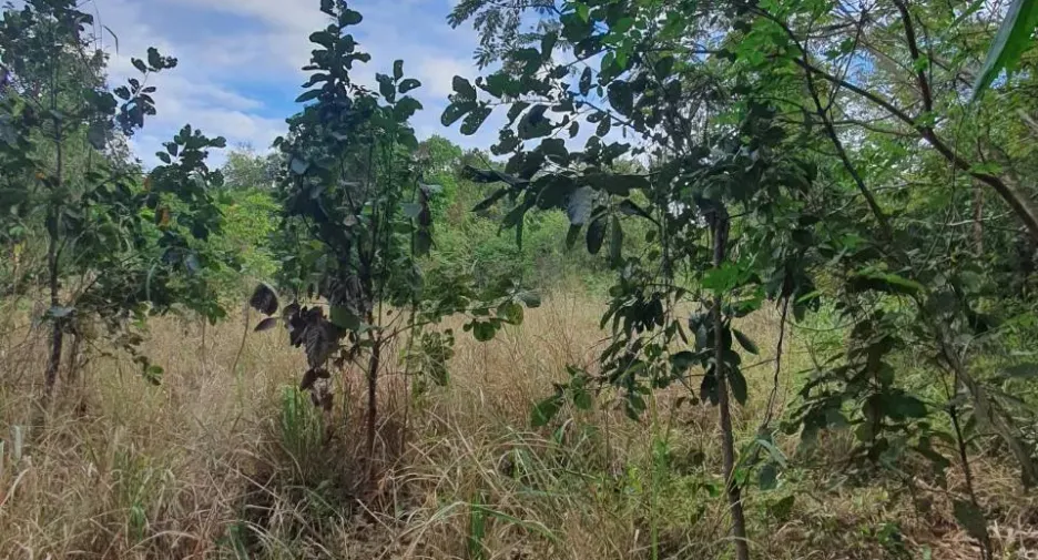 For sale land in Mueang Kalasin, Kalasin