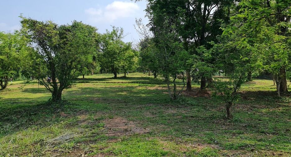 出售 土地 在 Mueang Chiang Rai, Chiang Rai