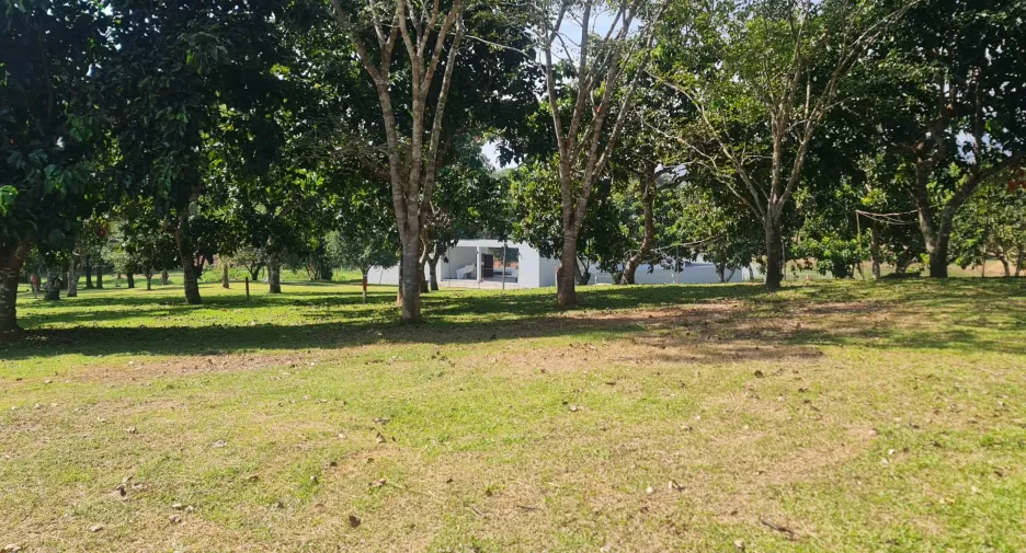 出售 土地 在 Mueang Chiang Rai, Chiang Rai