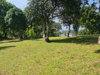 For sale land in Mueang Chiang Rai, Chiang Rai