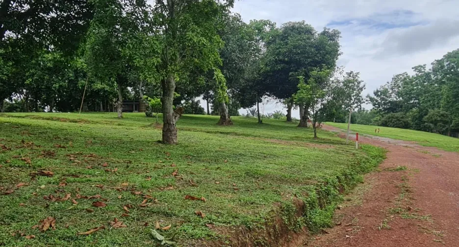 出售 土地 在 Mueang Chiang Rai, Chiang Rai