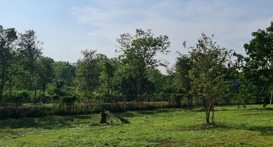出售 土地 在 Mueang Chiang Rai, Chiang Rai