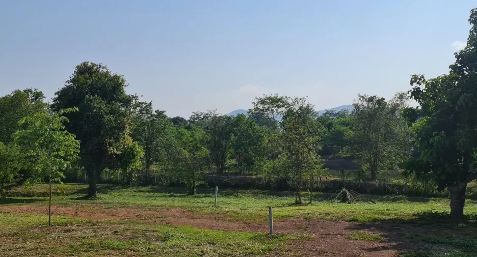 出售 土地 在 Mueang Chiang Rai, Chiang Rai