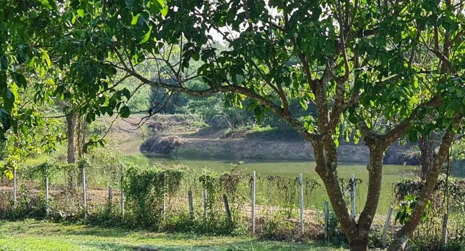 出售 土地 在 Mueang Chiang Rai, Chiang Rai