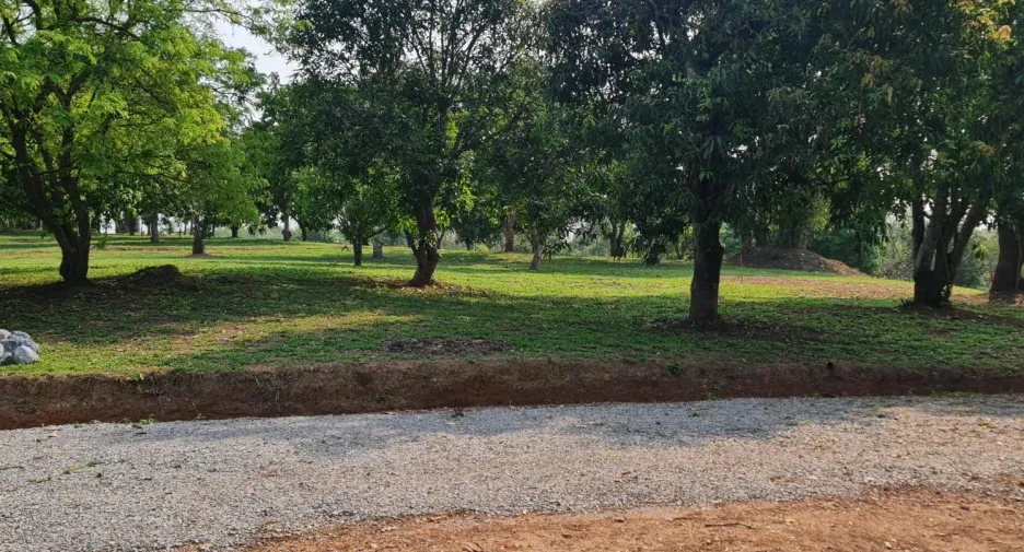 À vendre terrain à Mueang Chiang Rai, Chiang Rai