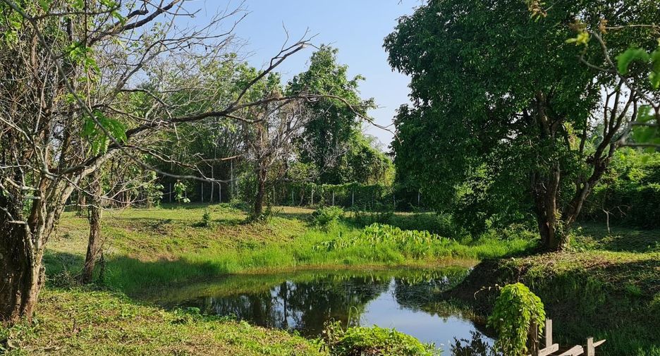 Grundstück zum Kauf in Mueang Chiang Rai, Chiang Rai
