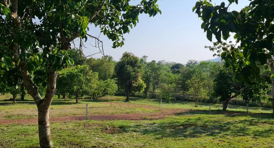 À vendre terrain à Mueang Chiang Rai, Chiang Rai