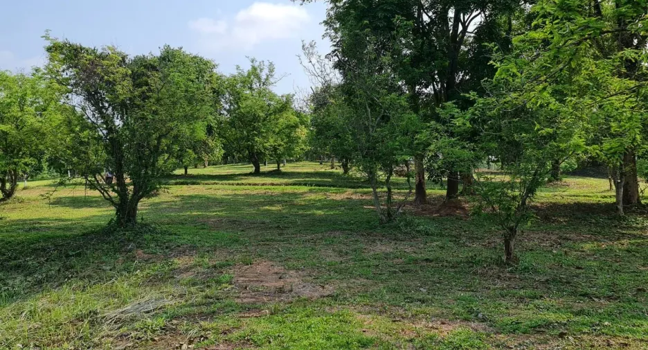 À vendre terrain à Mueang Chiang Rai, Chiang Rai