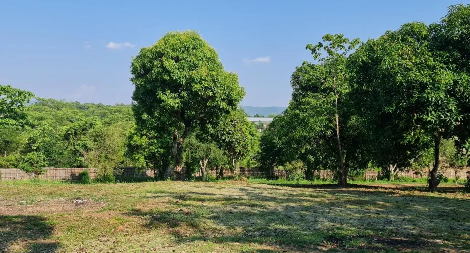 À vendre terrain à Mueang Chiang Rai, Chiang Rai