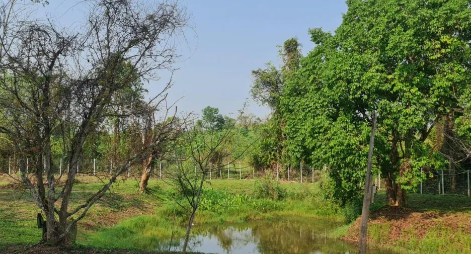 À vendre terrain à Mueang Chiang Rai, Chiang Rai