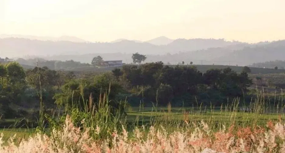 Terreno en venta en Mae Chan, Chiang Rai