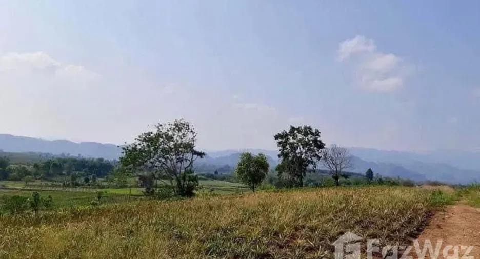 Terreno en venta en Mae Chan, Chiang Rai