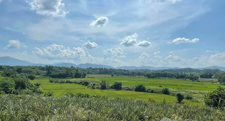 Terreno en venta en Mae Chan, Chiang Rai