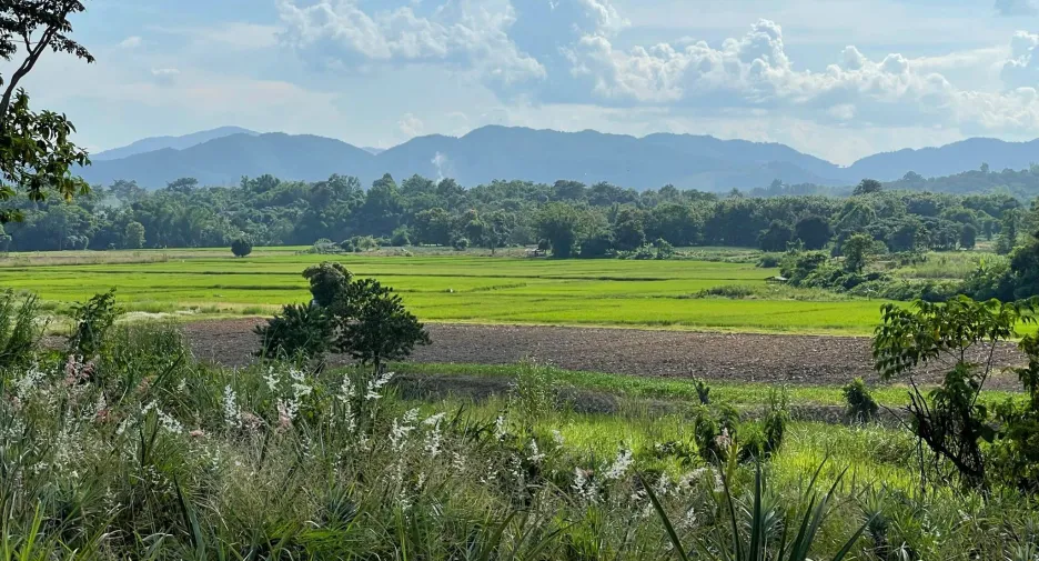 Grundstück zum Kauf in Mae Chan, Chiang Rai