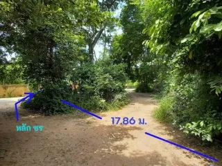 For sale land in Mueang Nakhon Ratchasima, Nakhon Ratchasima