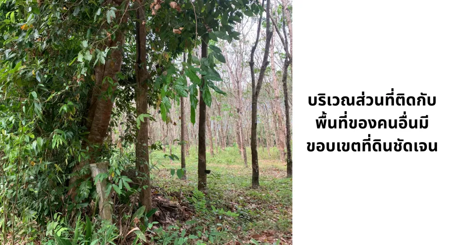 For sale land in Kapoe, Ranong