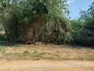 For sale 2 bedrooms house in Mueang Lampang, Lampang