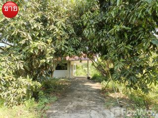 Grundstück zum Kauf in Sai Noi, Nonthaburi