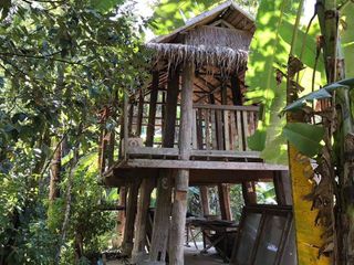 ขาย ที่ดิน ใน จอมทอง, เชียงใหม่