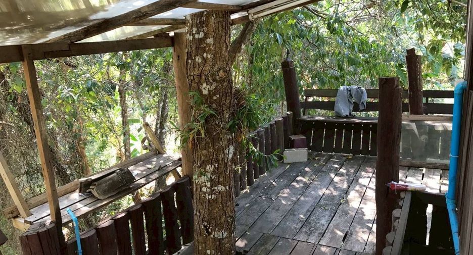 For sale land in Chom Thong, Chiang Mai