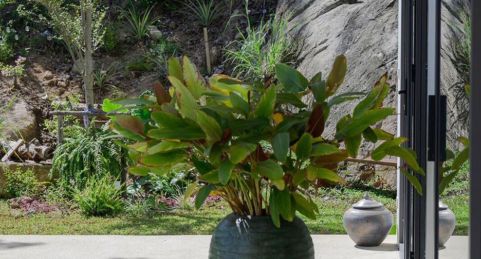 For sale 5 bedrooms villa in Ko Pha-ngan, Surat Thani