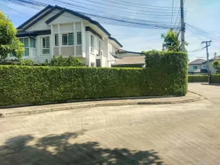 For sale 4 bedrooms house in San Kamphaeng, Chiang Mai