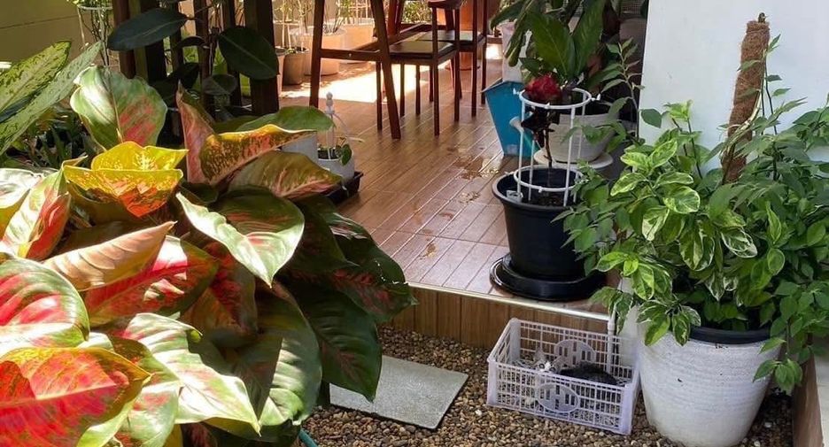 For sale 5 bedrooms house in Sattahip, Chonburi