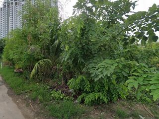 For sale land in Bang Lamung, Chonburi