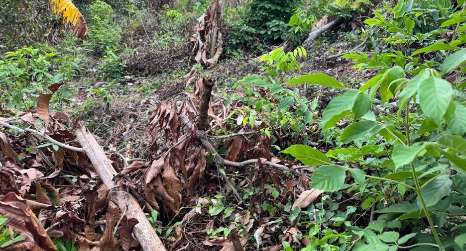 For sale land in Mueang Phuket, Phuket