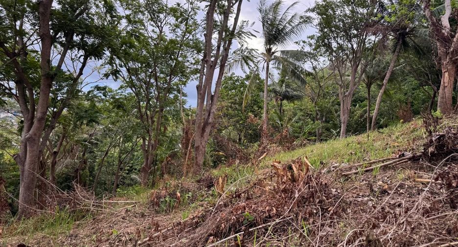 For sale land in Mueang Phuket, Phuket