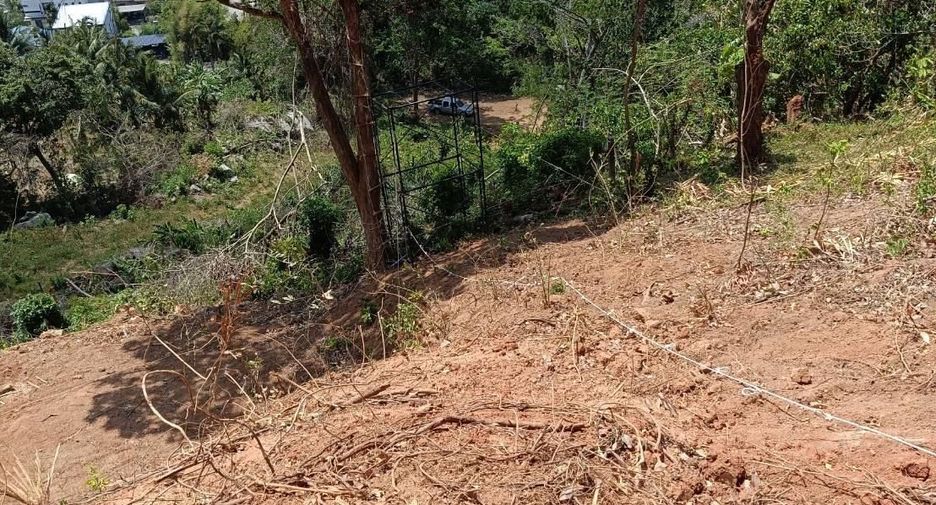 For sale land in Mueang Phuket, Phuket