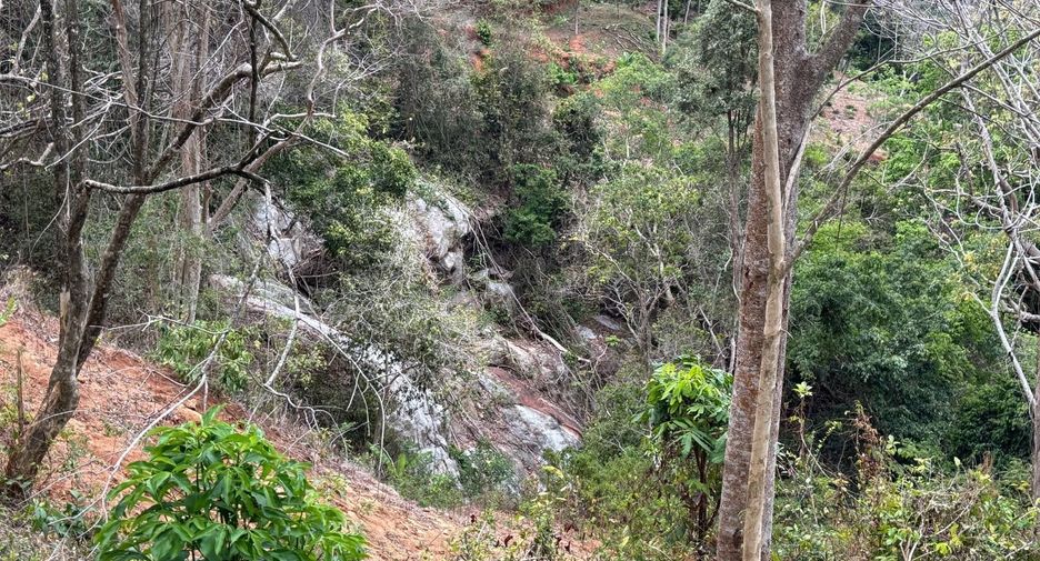For sale land in Mueang Phuket, Phuket