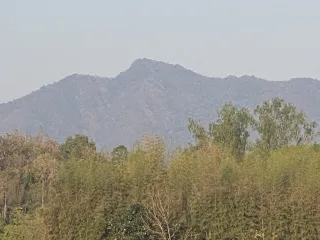 For sale land in Thoeng, Chiang Rai