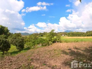 For sale land in Thoeng, Chiang Rai