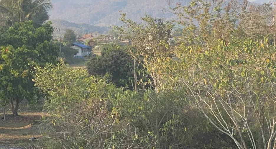 出售 土地 在 Thoeng, Chiang Rai
