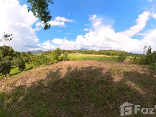For sale land in Thoeng, Chiang Rai