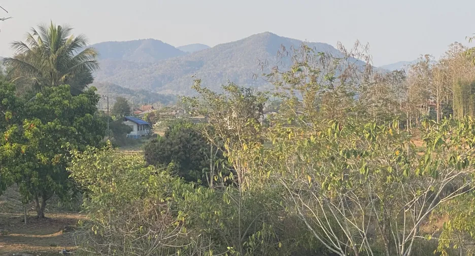 出售 土地 在 Thoeng, Chiang Rai