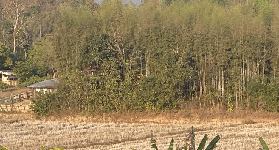 出售 土地 在 Thoeng, Chiang Rai