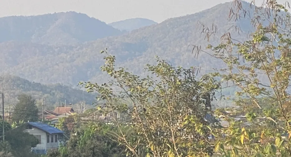出售 土地 在 Thoeng, Chiang Rai