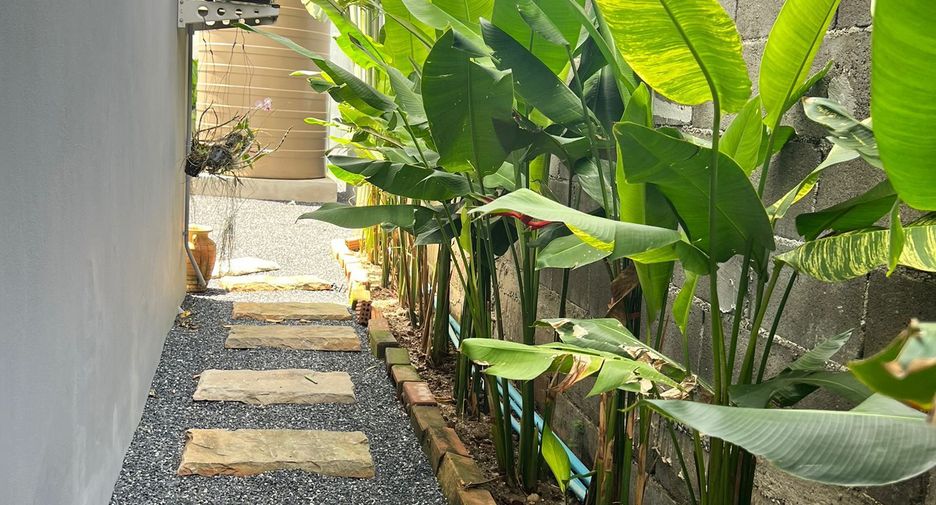 For rent 4 bedrooms villa in Thalang, Phuket
