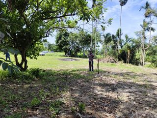 For sale land in Takua Thung, Phang Nga