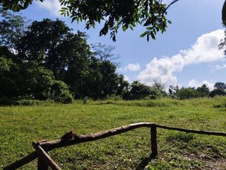 For sale land in Takua Thung, Phang Nga