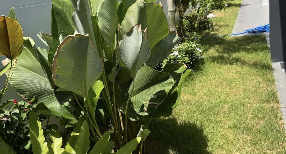For sale 6 bedrooms villa in Bang Lamung, Chonburi