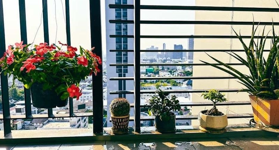For sale and for rent 1 bed condo in Watthana, Bangkok
