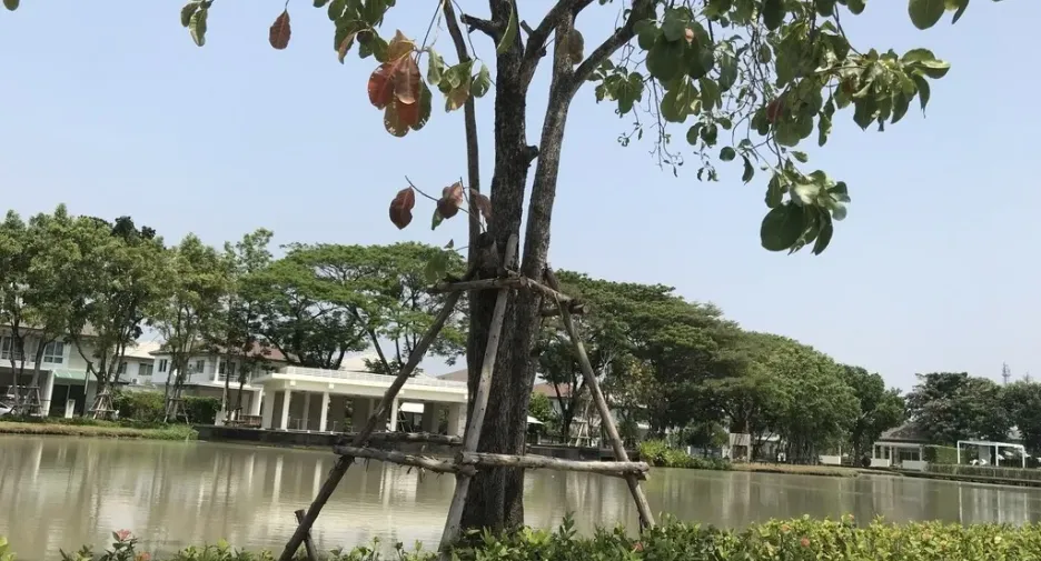 For sale 3 bedrooms house in Bang Bo, Samut Prakan