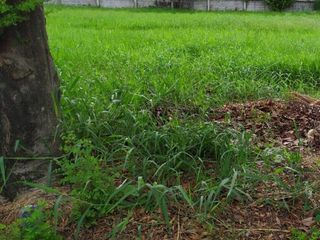For sale land in Bang Phli, Samut Prakan